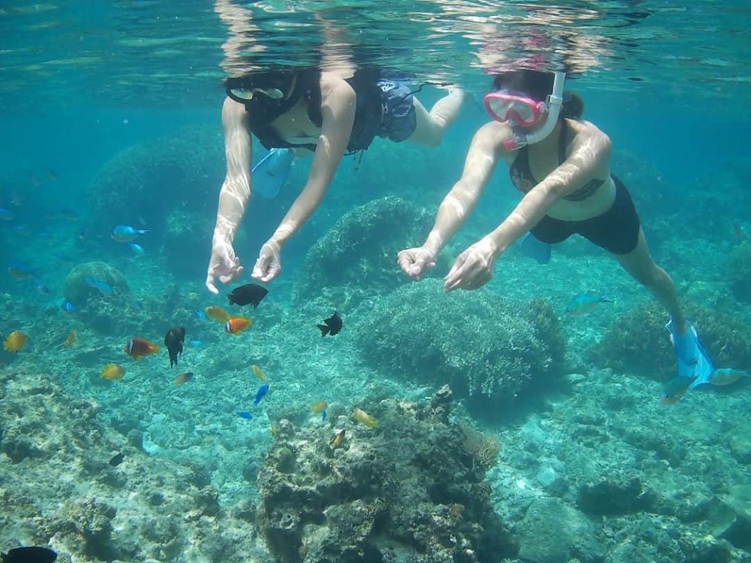 はねゆりのインスタグラム：「🏝AKA LIFE🏝﻿ ﻿ ﻿ 後原ビーチへ🐠✨﻿ 大潮の日は潮溜まりができて﻿ 珊瑚のラグーンになる🌊﻿ 小魚ちゃんもたくさーん！﻿ カクレクマノミにも会える💓﻿ ﻿ シュノーケリングでもダイビング並みに楽しめちゃうのが﻿ 阿嘉島の素晴らしいところ！﻿ ﻿ たくさん珊瑚があるけど﻿ 気をつけないといけない。﻿ ﻿ 珊瑚には触らない、立たない！﻿ 海で遊ぶ私たちは珊瑚を守らないとね💪﻿ 日焼け止めクリームも珊瑚破壊に繋がるから﻿ 海に入るときはあんまり塗らないようにしてます！﻿ ﻿ 焼きたくないときはラッシュガード！﻿ ﻿ (最後の写真は、休憩中に車の後ろで…)﻿ ﻿ I went to the KUSHIBARU Beach!﻿ There is a tidal pool at low tide.﻿ It is a beautiful coral reef and small fish lagoon🐠﻿ ﻿ ﻿ #akaisland﻿ #kerama﻿ #okinawa﻿ #阿嘉島﻿ #慶良間諸島﻿ #HANAMURO﻿ #ハナムロ」