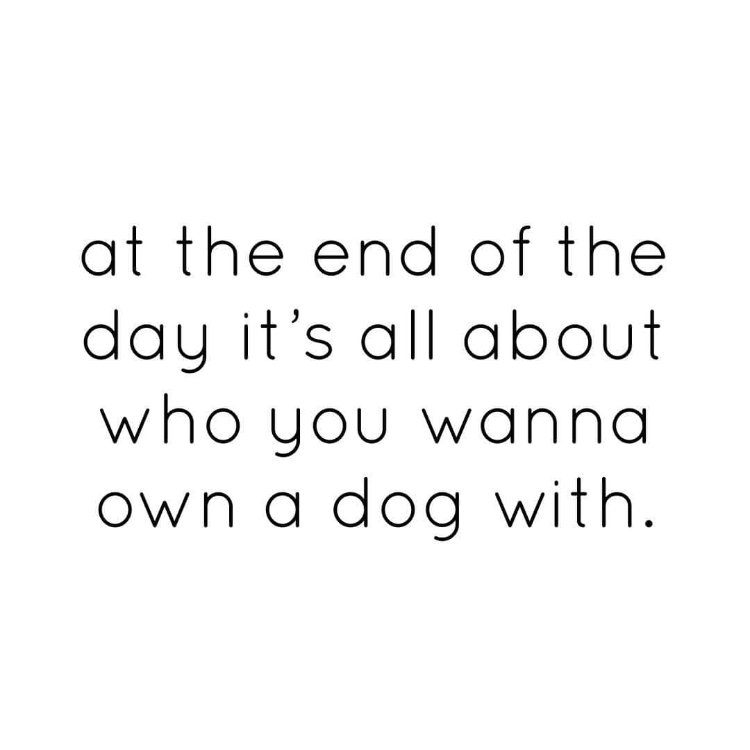 チェイサーのインスタグラム：「TRUE 🐶💞 @chaserbrand #chaserbrand」