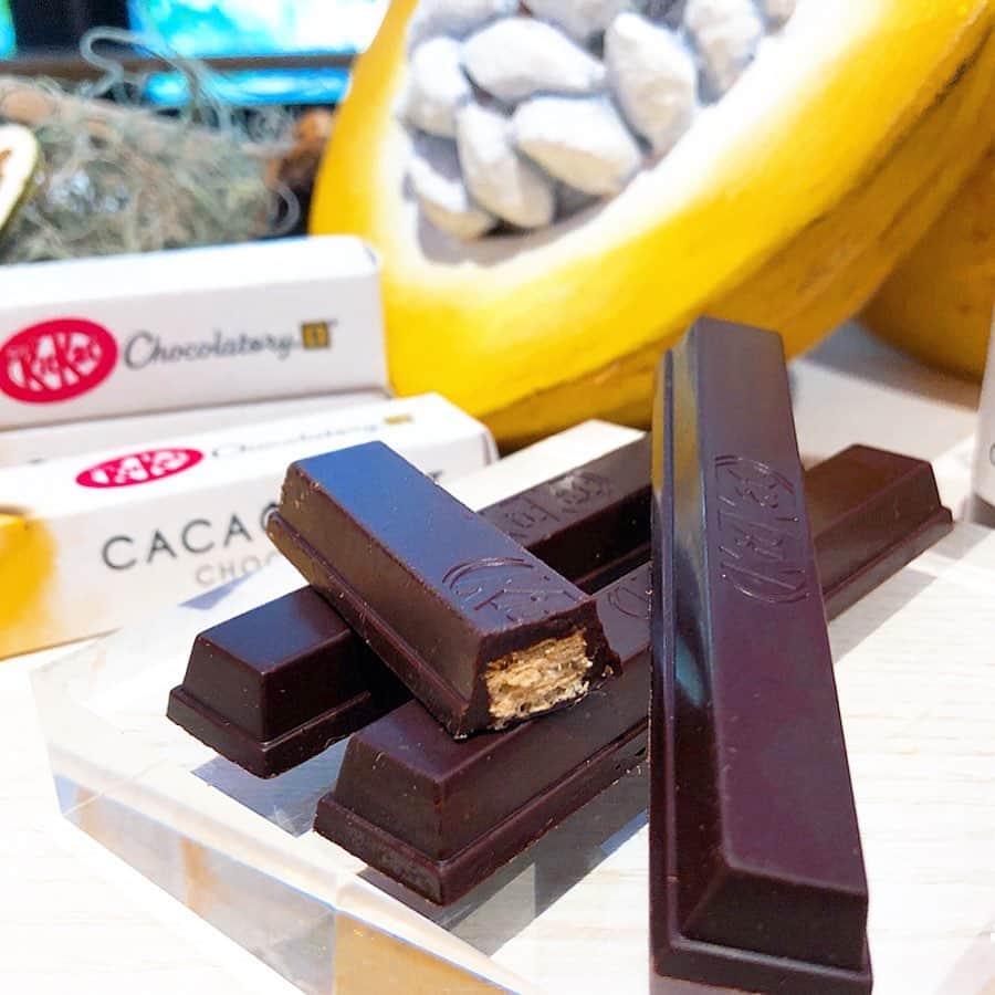 里井真由美のグルメインスタ