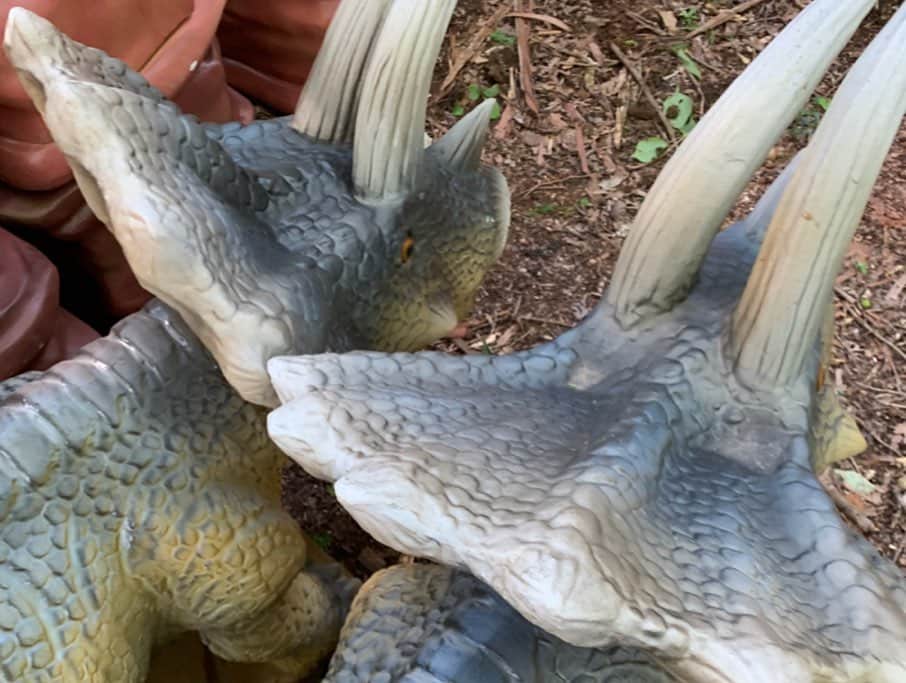三島スカイウォーク／公式さんのインスタグラム写真 - (三島スカイウォーク／公式Instagram)「《恐竜アドベンチャー🦕❤️》 . 今年の夏休みは三島スカイウォークに恐竜に会いにきませんか？🦖✨ . 7/26〜 恐竜迷路とARシューティングゲームが登場⚡️ . 迫力満点なリアルな恐竜が三島スカイウォークの森の中に潜んでいますよ👀🕸 . #三島スカイウォーク #スカイウォーク #静岡 #箱根 #伊豆 #三島 #観光 #吊り橋 #日本一 #富士山  #恐竜 #恐竜アドベンチャー #AR #ARシューティング #迫力 #mishimaskywalk #skywalk #japan #MountFuji #shizuoka #travel #trip #fun #instagood #nature #beautiful #followme」7月18日 9時49分 - mishima_skywalk
