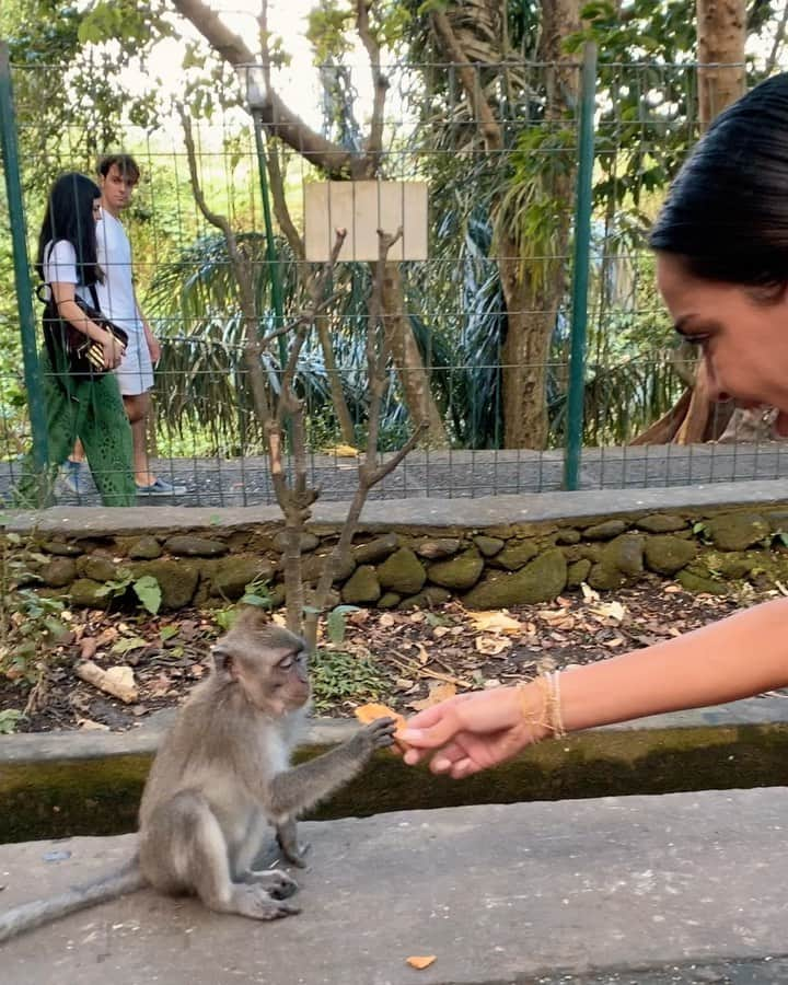 ジョアナ・サンスのインスタグラム