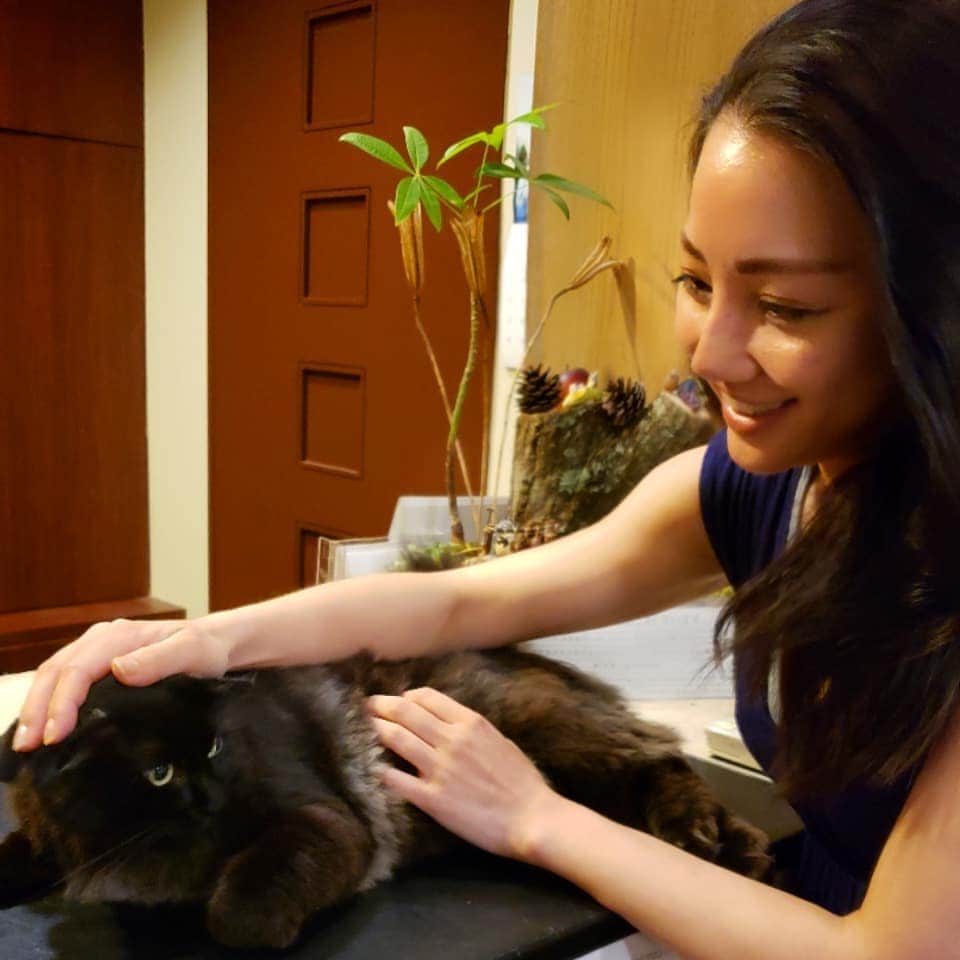Hiromi Tomiiさんのインスタグラム写真 - (Hiromi TomiiInstagram)「. . . おはよー🍀 . . 過去pic. . .  犬派と思ってたけど、 案外猫も好き。 . . かわいい看板猫のくろちゃん◎◎ . . お宿のカウンターに寝そべる 人懐っこくてかわいいねこちゃんでした(^-^) . . #看板猫#ねこ#猫#cat#富士祥栄会館 . . . . . #静岡県#小山町　へ . . #富士山頂と金太郎のまち . . . . 富士スピードウェイがあったり、金太郎の生誕の地だったり富士山頂がある町(^-^) . .  小山町の宏美の投稿は　→#宏美in小山町　で、 過去の投稿も見れます＼(^-^)／是非参考に💕 . . . #小山に行きたい#小山町旅行#MtFuji#fujiyama#oyama#oyamajapan#shizuoka#trip#oyamatrip #女子旅#outfit#ootd#fashion#コーデ#きょコ #fashion #fashiongram  #currentlywearing #旅行コーデ#旅行好きな人と繋がりたい  #pr」7月18日 10時16分 - hiromi.tomii