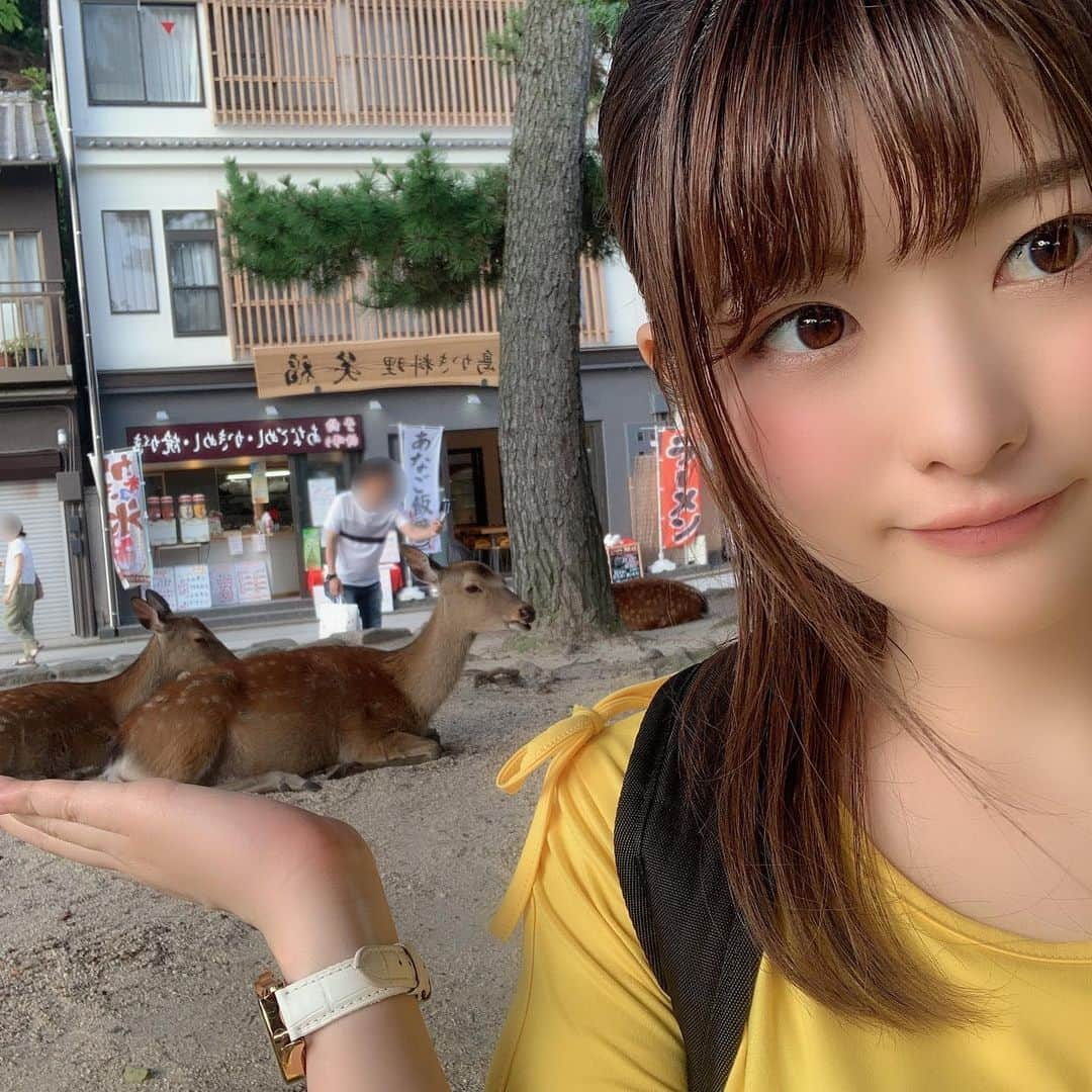 上矢えり奈さんのインスタグラム写真 - (上矢えり奈Instagram)「＊-＊-＊-＊-＊-＊-＊-＊. . 手乗りシカ🦌 厳島には、そこら中にゆったりと過ごしている シカさんが沢山いました。 奈良県以外で鹿みたの初めて！. . erina. . ＊-＊-＊-＊-＊-＊-＊-＊. , #厳島 #厳島神社 #広島県 #鹿 #野生 #手乗りシカ #かわいいし #おとなしい #上矢えり奈 #えりにゃんch」7月18日 10時38分 - k.erinyann