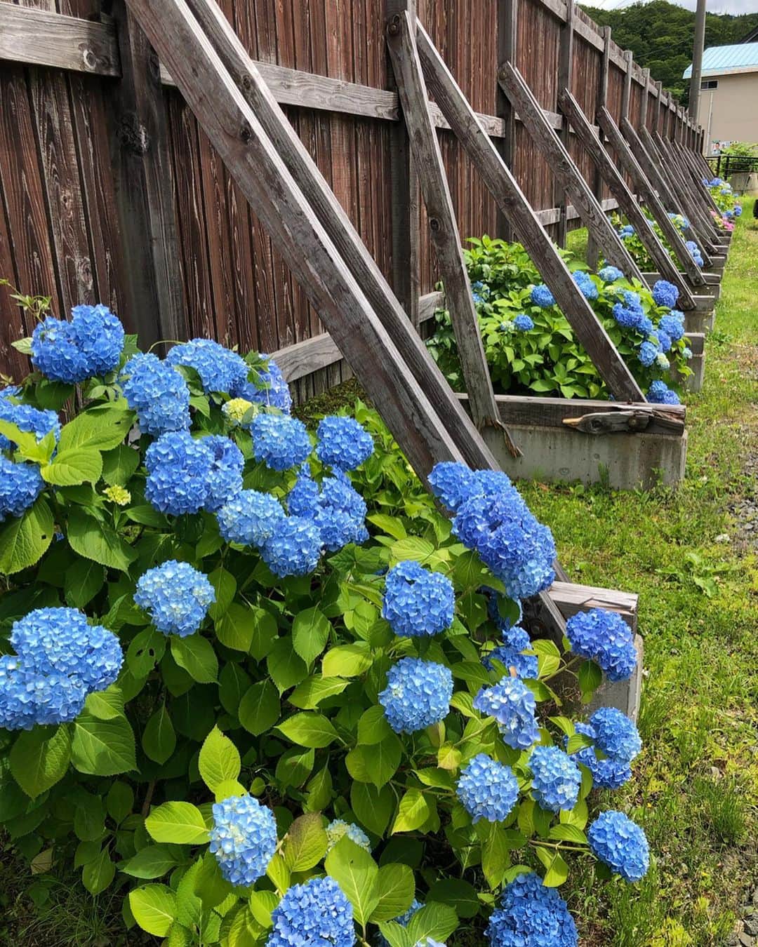 山人のグルメインスタ