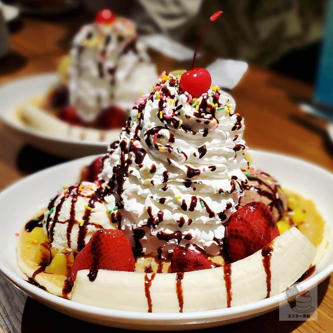 ミスター黒猫（黒猫仙人）のグルメインスタ