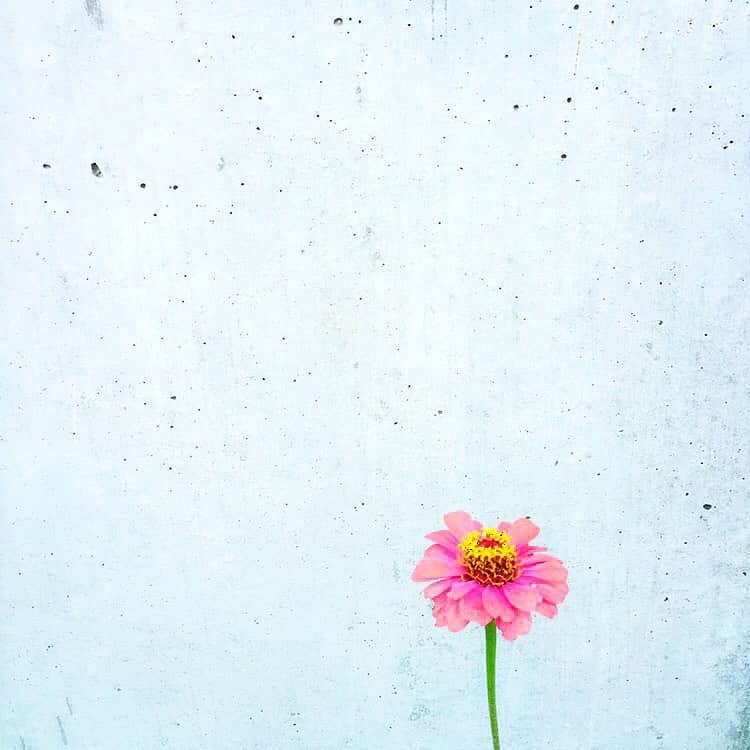 のインスタグラム：「. . おはよう、 この目に新しい。 . #ザ壁部 #ihaveathingforwalls . #mwjp #igersjp #indies_minimal #reco_ig #shotoniphone #youmobile」