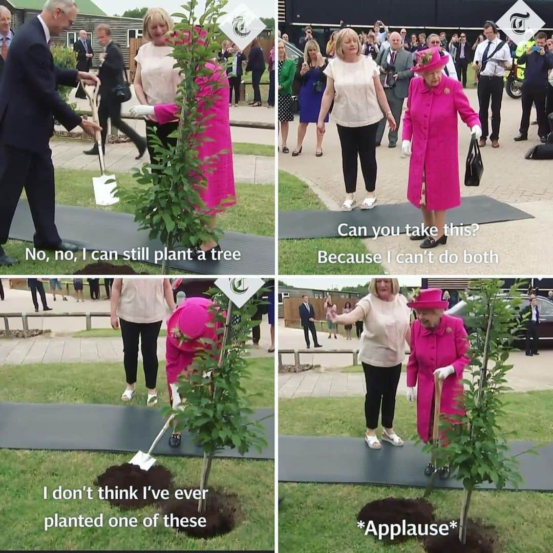 ミッチェル・コリンズさんのインスタグラム写真 - (ミッチェル・コリンズInstagram)「The Queen planting a tree at 93 to a round of applause is the only AGE APP I NEED THANK U.」7月18日 12時30分 - michcoll