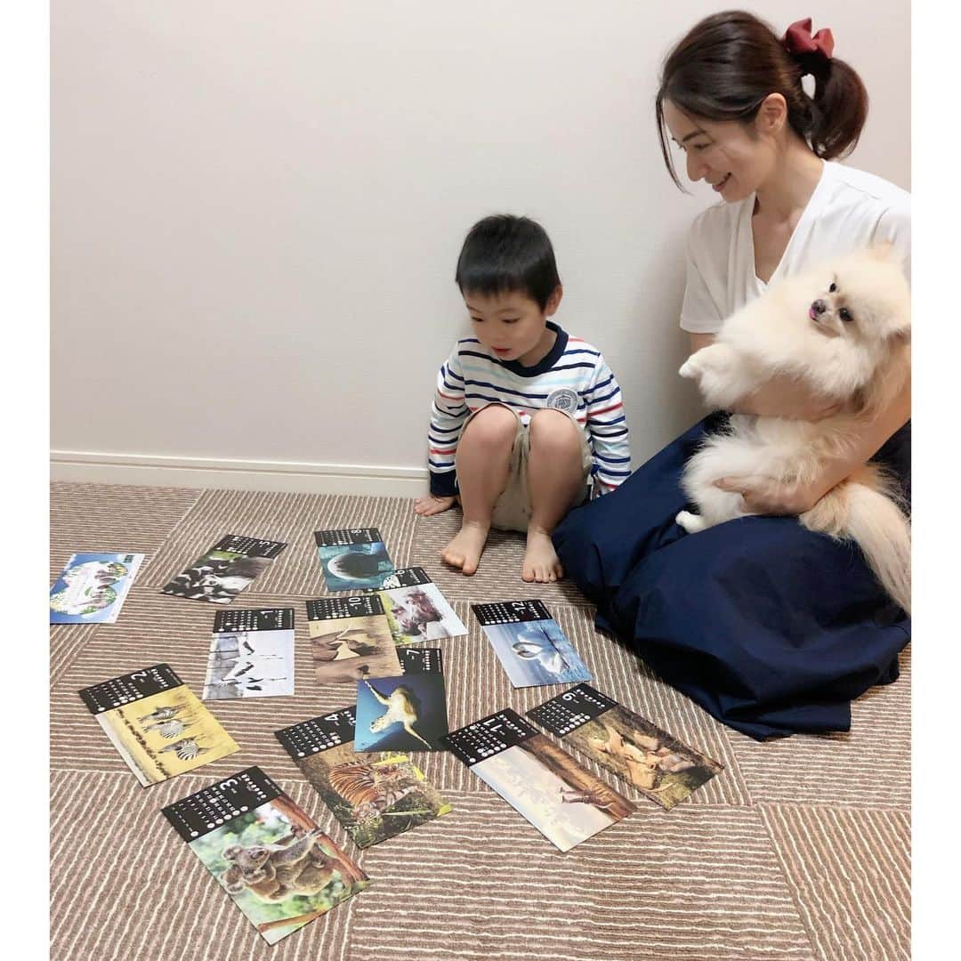 Mayuko Watanabe 渡辺真由子さんのインスタグラム写真 - (Mayuko Watanabe 渡辺真由子Instagram)「WWFジャパンのWebドラマを観て、ジーンとしたので、突然ですが、真面目な話👍笑 ・ 桃太郎という家族同様の犬を飼い、息子を産んでから、私の人生観は変わりました。 犬と子供のお世話は大変なこともたくさんありますが、毎日楽しく笑っていられることがいかに幸せか気づきましたし、息子が大人になった時、未来の地球はどうなっているのか考えるようになりました😀 地球温暖化が進み、猛暑になっていくことも心配ですし、様々な原因で数が少なくなっていく野生動物も守りたい思うようになりました。 これは息子が動物園や水族館に行って目を輝やかせて楽しそうにしている姿を見ていて、こういう動物が近い未来いなくなるなんて嫌だと私自身思ったからです。 毎日追われてそんな風に思いながら何も出来ないので微力でも力になれればと毎月少しですが寄付をしています。 ほんの小さな気づきから、こういう気持ちや行動は始まるものだと思います😊 息子に野生動物のカレンダーで名前や特徴を教えていて、興味を持ってくれたら良いななんて思ってます♡ WWFジャパンの動画をぜひお子様と一緒でも良いと思いますし、皆さんにも観ていただきたいです☺️♫ @wwfjapan #PR#わたしが守りたいのは#息子#我が子#我が子の未来#守りたい気持ち #WWFジャパン#WWF#動物好きな人と繋がりたい#絶滅危惧種#野生生物 #mama#ママ#子育て#子育て中#ポメラニアン#pomeranian#ポメ#pomestagram」7月18日 22時48分 - watanabe_mayuko