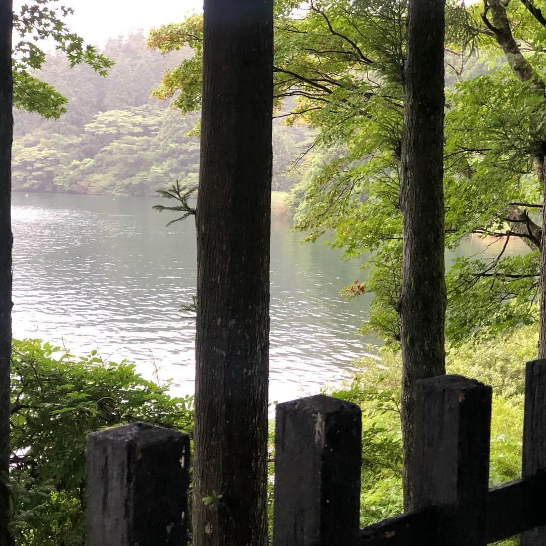 長谷川朋美さんのインスタグラム写真 - (長谷川朋美Instagram)「#梅雨 が長いですね〜 ずーっとお天気がすぐれませんね（ ; ; ） 今週末の沖縄が少し心配💦 ・ 葉山にいると、雨の日はワンコのお散歩も海も行けないので、最近雨の日は葉山から1時間車を走らせた箱根へ☔️ ・ 雨の日の箱根は本当に美しくて。 木々や土の香りに癒され、緑が雨の雫を受けて輝いてるんです✨ ・ 先日は久々に#元箱根 の#芦ノ湖 周辺を散策してから#立ち寄り温泉 へ♨️ 釜飯が炊けるのを待ってる間にひとっ風呂みたいな😁 ・ 海も大好きだけど、山も大好き❤ ・ #箱根 #hakone #紫陽花 #雨の日の過ごし方 #温泉 #rainyday」7月18日 23時17分 - hasegawa.elena.tomomi