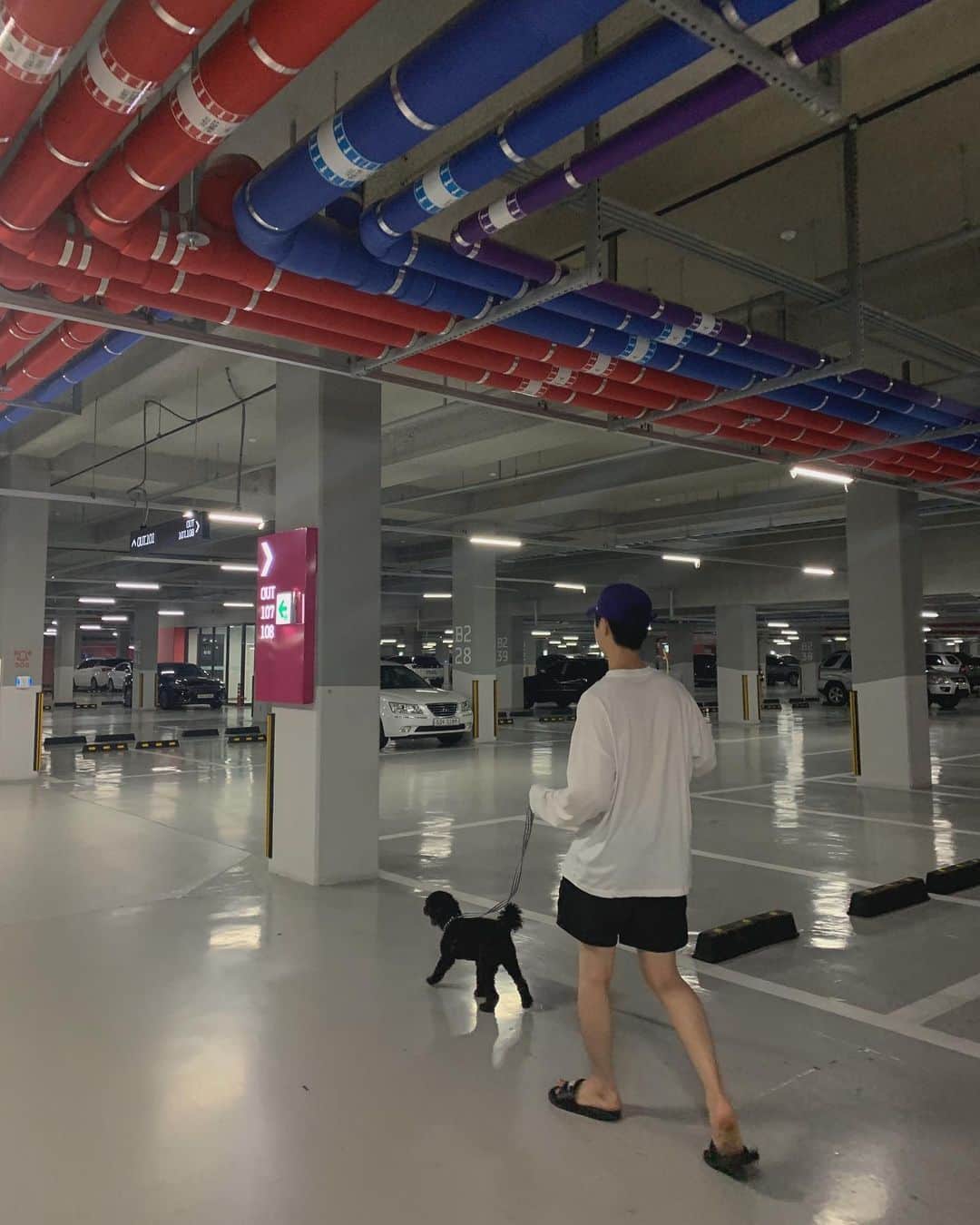 ジュンQ のインスタグラム：「산책가자 :> 🐾」