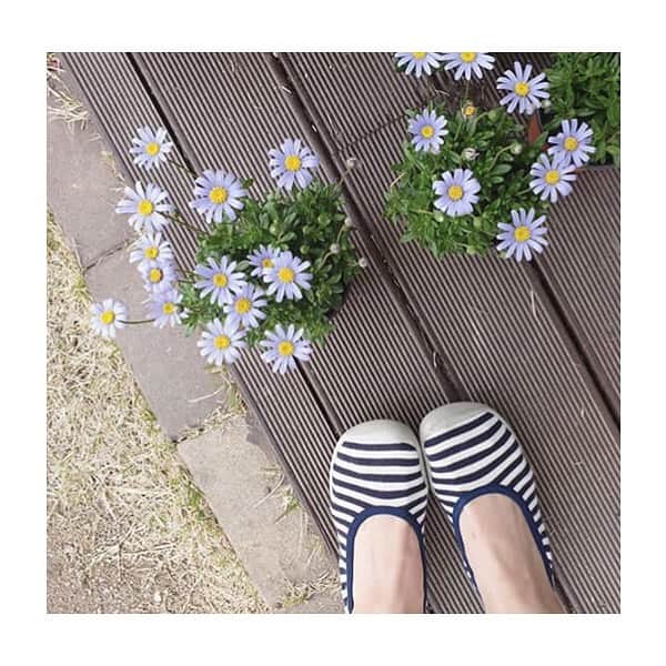 コレジアンのインスタグラム：「Summer is officially here! ☀️ . Are you planning to have some serious family fun during the summer? 👨‍👩‍👧‍👦 . 🇫🇷 L'été est officiellement là! ☀️ . Quels sont vos plans pour cet été ? De bonnes vacances amusantes en famille ? 👨‍👩‍👧‍👦 . Picture @verymerry_jjim . #collegien #collegien_officiel #newin #shoesaddict #ballerina #instamum #balletflats #jマダムのおしゃれ#大人カジュアル  #instafashion #springshoes #balletlovers #balletslippers #fashionlifeandstyle #brandsforkids #inspiration #motherdaughter #minime #parenting #family #matching #instakids #summer #holidays」