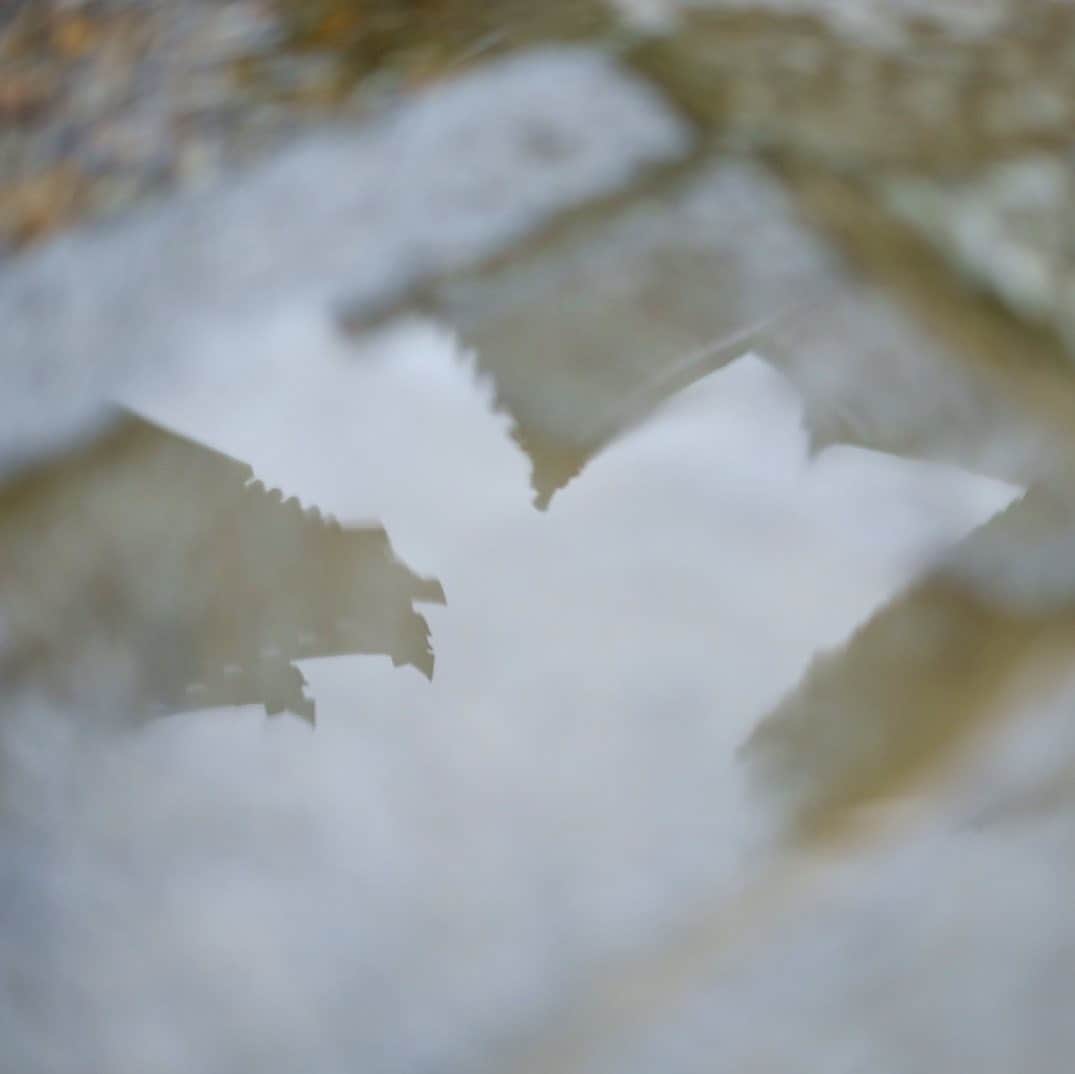 奈良 長谷寺 / nara hasederaのグルメインスタ