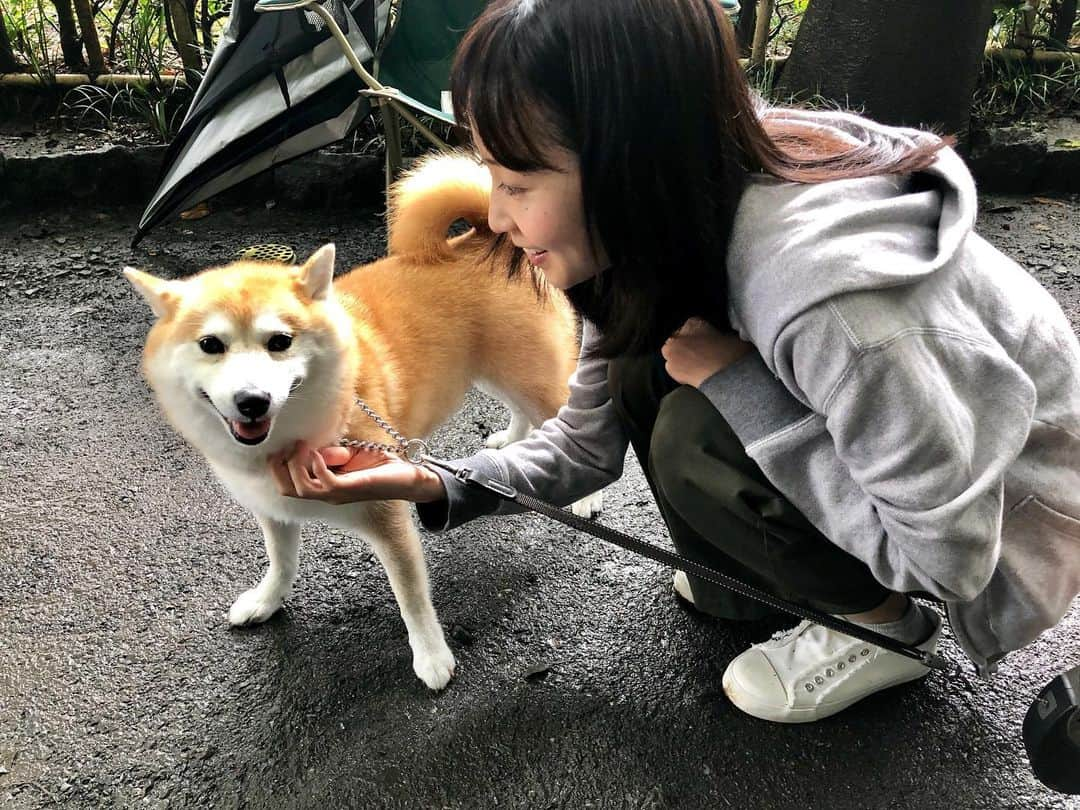 フジテレビ ドラマ「セミオトコ」さんのインスタグラム写真 - (フジテレビ ドラマ「セミオトコ」Instagram)「＊﻿ ﻿ ‪お散歩中のワンちゃんに遭遇🐕🎶‬﻿ ﻿ ‪由香さんとの2ショット❗️いただきました📸💕‬﻿ ﻿ ‪すぐに仲良くなっていた由香さん☺️‬﻿ ﻿ ‪おかけで素敵な写真が撮れました🤗✨‬﻿ ﻿ ‪#セミオトコ‬﻿ ‪#一気にみんなの人気者に☺️‬﻿ ‪#ワンちゃんも‬﻿ ‪#セミオトコ見てくれるかな…‬﻿ ‪#皆をきゅんとさせた‬﻿ ‪#かわいいワンちゃんでした🙈‬」7月18日 15時34分 - semiotoko_tvasahi