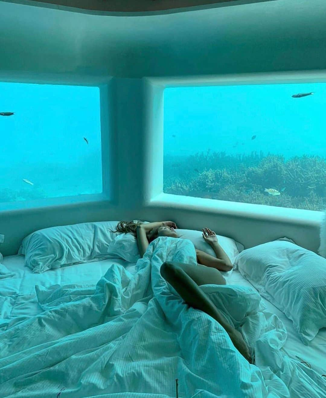 Earth Picsさんのインスタグラム写真 - (Earth PicsInstagram)「Waking up in the ocean 🌊🐠 in Maldives by @staroverova_liza . . . . . . . #travelinspo #wanderluster #explorelocal #worldnomads #femaletraveler #instavacation #wander #traveltheglobe #mybestcityshots #iamdigitalnomad #glt #wonderlust #citizenfemme #mydomainetravels #gbr #travelshots #wunderlust #tavelgram #aroundtheglobe #travelawesome #iamtraveler #travelpictures #reiseblogger #travelingtheworld #travelingram #girltraveler #wandergirl #travelislife」7月18日 16時26分 - earthpix