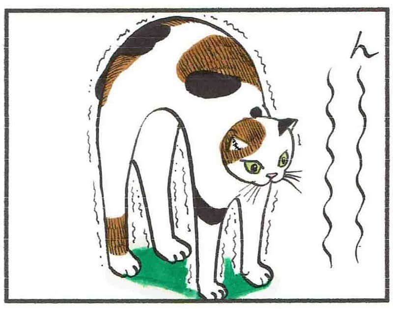 相原コージさんのインスタグラム写真 - (相原コージInstagram)「『こびとねこ』第1話（編集カラー版）。紙でも電子でも発売中です。よろしくお願いします。 #こびとねこ #ねこ #こびと #漫画 #カラー #瞬膜  #小小猫 #コピック #cat #manga #comic #thumbcat #color」7月18日 16時48分 - kojiaihara