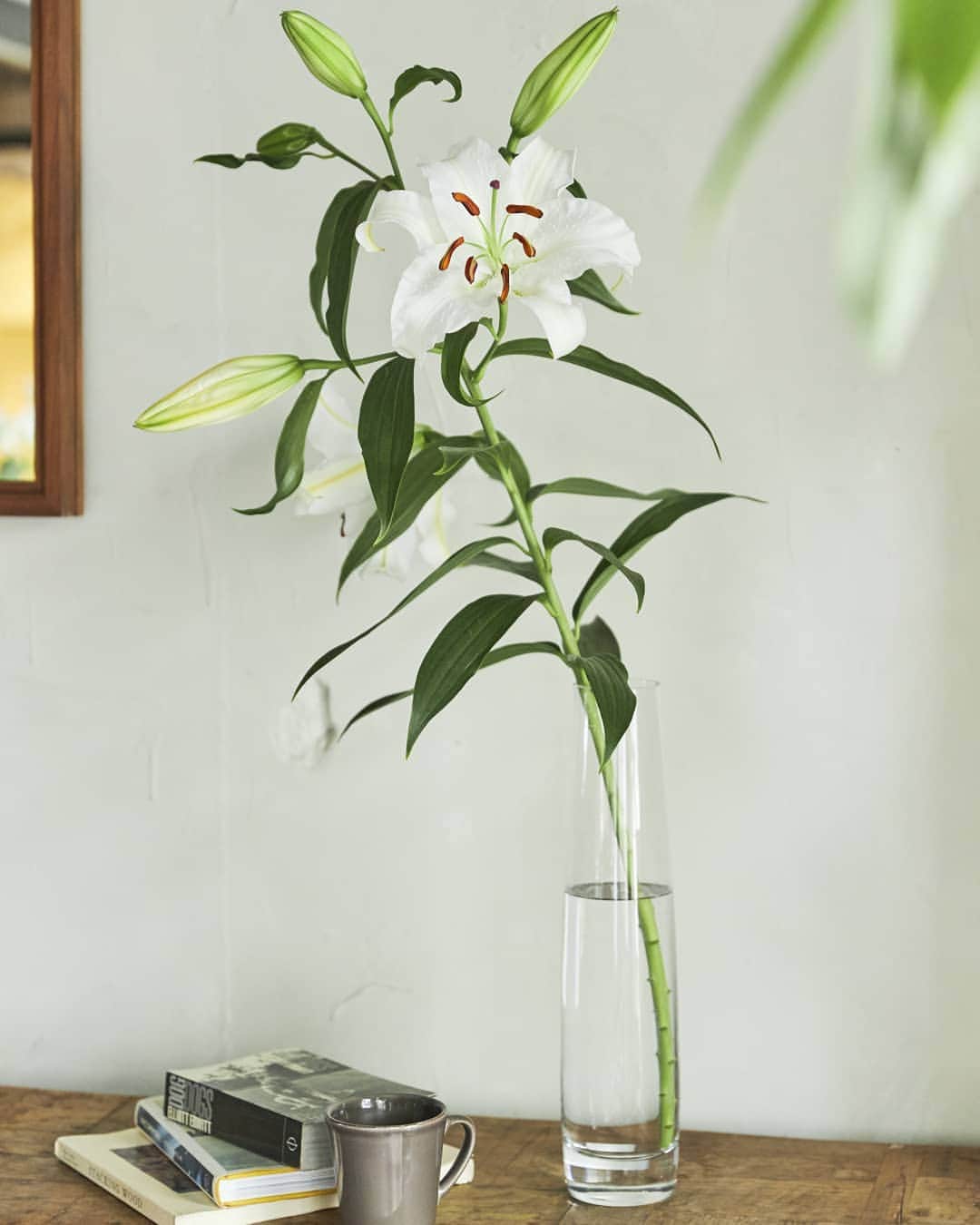 青山フラワーマーケットのグルメインスタ