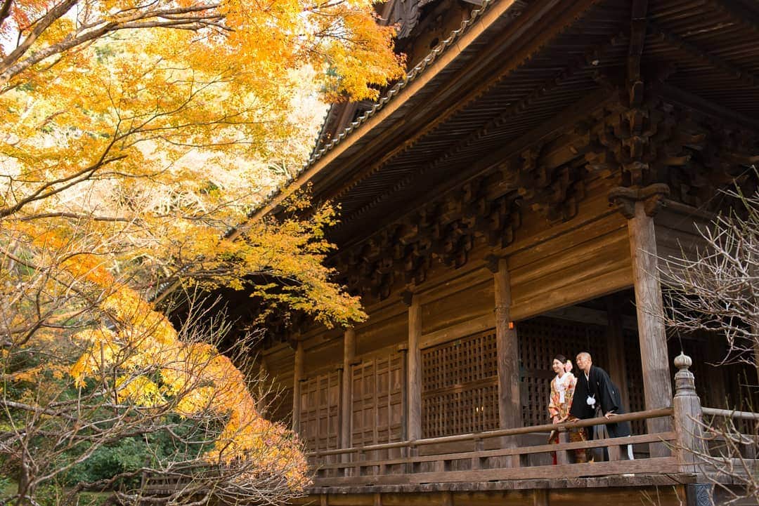 鎌倉プリンスホテル写真室_la-vie factoryのグルメインスタ