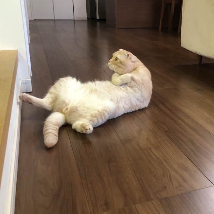 金太のインスタグラム