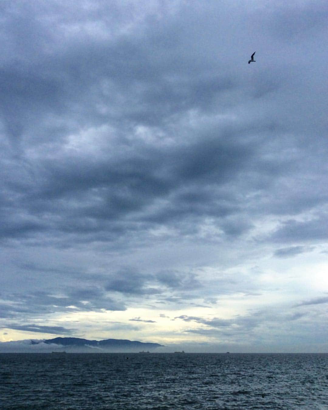 祥吉のグルメインスタ