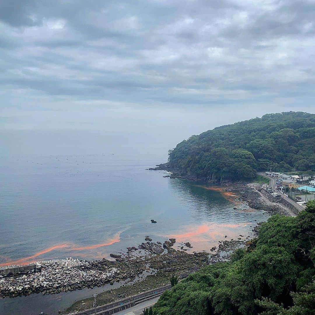 池内万作さんのインスタグラム写真 - (池内万作Instagram)「久しぶりに雨が止んだのでササっと半島ランを。 赤潮発生中っすね。 なんて書いてる今はもう雨。 早く晴れんかのぉ〜。 #ランでした #stopデ部 #真鶴半島」7月18日 17時52分 - mandeshita