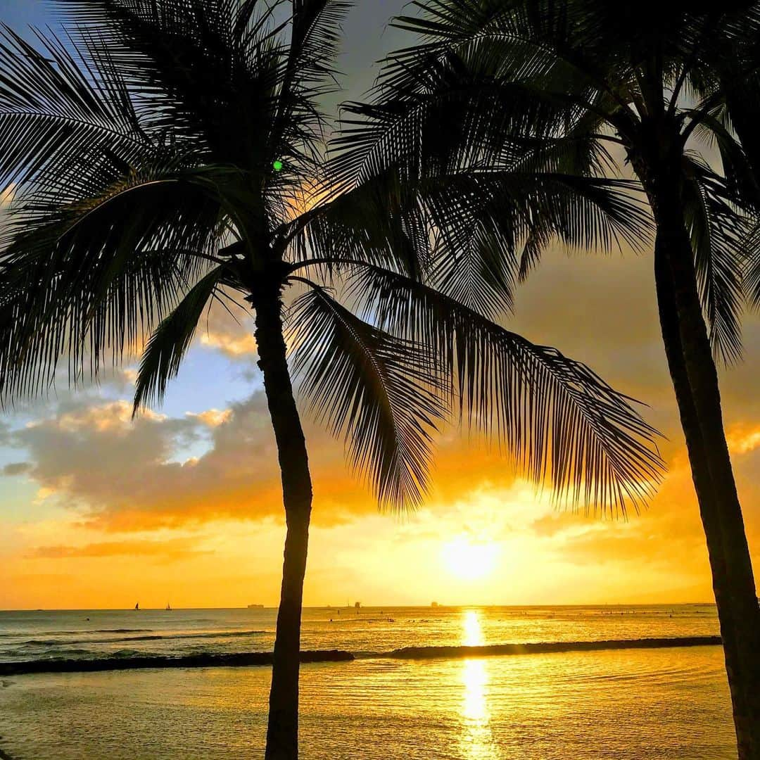 マントル一平さんのインスタグラム写真 - (マントル一平Instagram)「お願いだから晴れてー🌴  この前の #hawaii  #旅行 #旅  #sunset」7月18日 18時05分 - mippei_