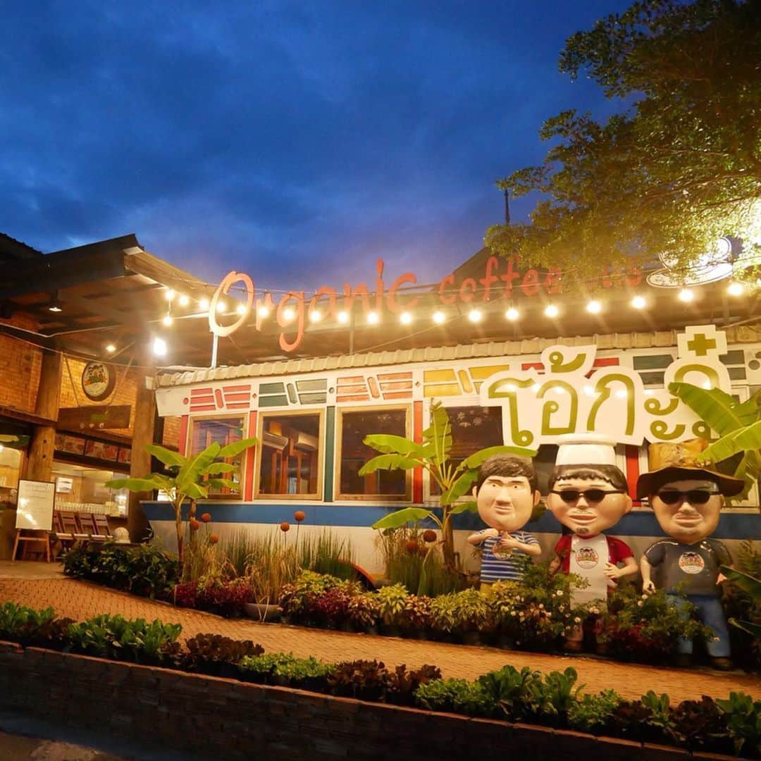 タイ国政府観光庁さんのインスタグラム写真 - (タイ国政府観光庁Instagram)「＜タイ美食レストラン🍽＞﻿ ﻿ 「オーカジュ」は、チェンマイ発祥のオーガニックレストラン🥒﻿ ﻿ 有機栽培が盛んなチェンマイの自家農園で収穫したオーガニック野菜を使った料理が食べられるとあり、大人気に🙌﻿ ﻿ 現在ではチェンマイに本店と空港の支店、さらにバンコクには４店舗を展開しています👍﻿ ﻿ メニューには新鮮な有機野菜をたっぷりつかったサラダに加え、ステーキやパスタなどの西洋料理が並び、どの料理にも野菜がたっぷり使われているのが特徴‼️﻿ ﻿ メロンを器にした贅沢なフルーツサラダも大人気🍈✨﻿ ﻿ #タイ美食レストラン #チェンマイ #バンコク #オーカジュ  #オーガニック #オーガニックレストラン #食べるの大好き #食べるの好きな人と繋がりたい #こんなタイ知らなかった #もっと知りタイ #タイ旅行 #チェンマイ旅行 #バンコク旅行 #旅好きな人と繋がりたい #旅行好きな人と繋がりたい #thailand #chiangmai #bangkok #ohkajhu #organic #organicfood #thaifoodie #amazingthailand  #thailandtravel #thailandtrip #thai #thaistagram #lovethailand﻿ ﻿」7月18日 18時59分 - amazingthailandjp