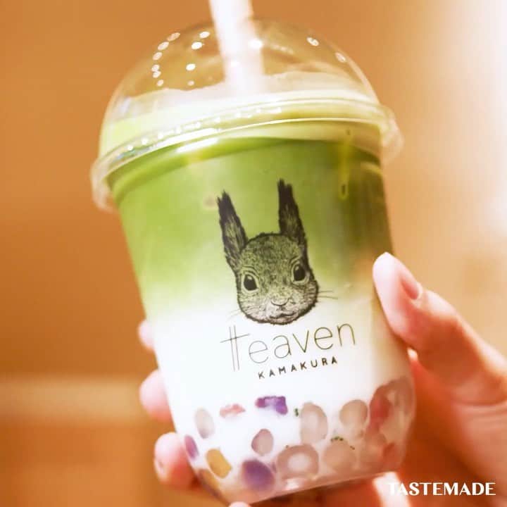 テイストメイドのグルメインスタ