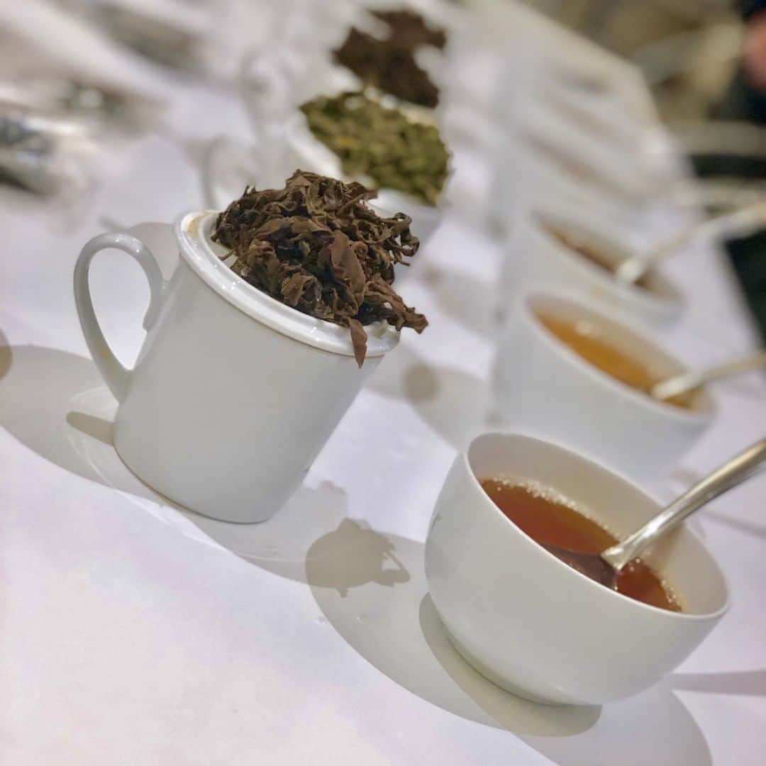 カヌチャリゾートさんのインスタグラム写真 - (カヌチャリゾートInstagram)「～カヌチャの紅茶物語～⠀ 2週間前に茶摘みをした紅茶のテイスティングが先日行われました。⠀ ⠀ 「沖縄ティーファクトリー」代表であり、「カヌチャの紅茶物語」のアドバイザーを務める内田智子氏が手掛ける数種類の紅茶と飲み比べてみました。⠀ ⠀ カヌチャの紅茶は程よく良いクセがあり、ミルクやお砂糖を加えても紅茶がそれらに負けないしっかりとした味わい。そのためスイーツとの相性もばっちりですσ(ﾟｰ^*)⠀ ⠀ 紅茶栽培に恵まれたカヌチャの敷地で育つ、カヌチャの紅茶。⠀ 2020年の初収穫をお楽しみにヽ(*’-^*)。」7月18日 19時00分 - kanucha_resort