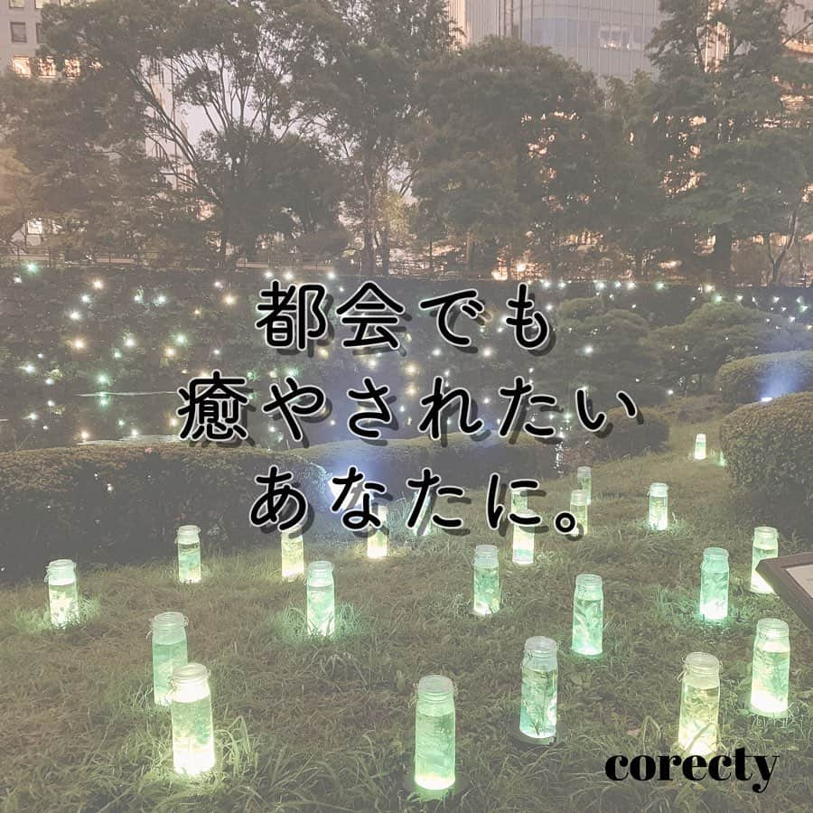 corectyのインスタグラム