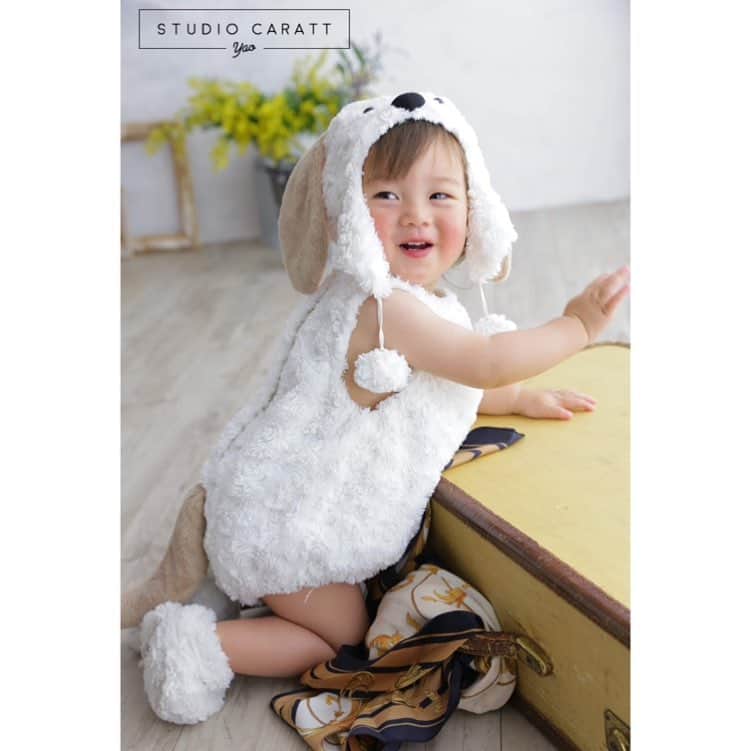 のインスタグラム：「* * 可愛いわんちゃん発見っ!!😉✨ * * * #studiocaratt #photostudio #スタジオキャラット #写真館 #大阪 #八尾 #アリオ八尾 #スタジオリニューアル#birthdayphoto #誕生日 #着ぐるみ #わんちゃん #photooftheday #cute#smile  #instagood #ig_kids  #instalike #photography」