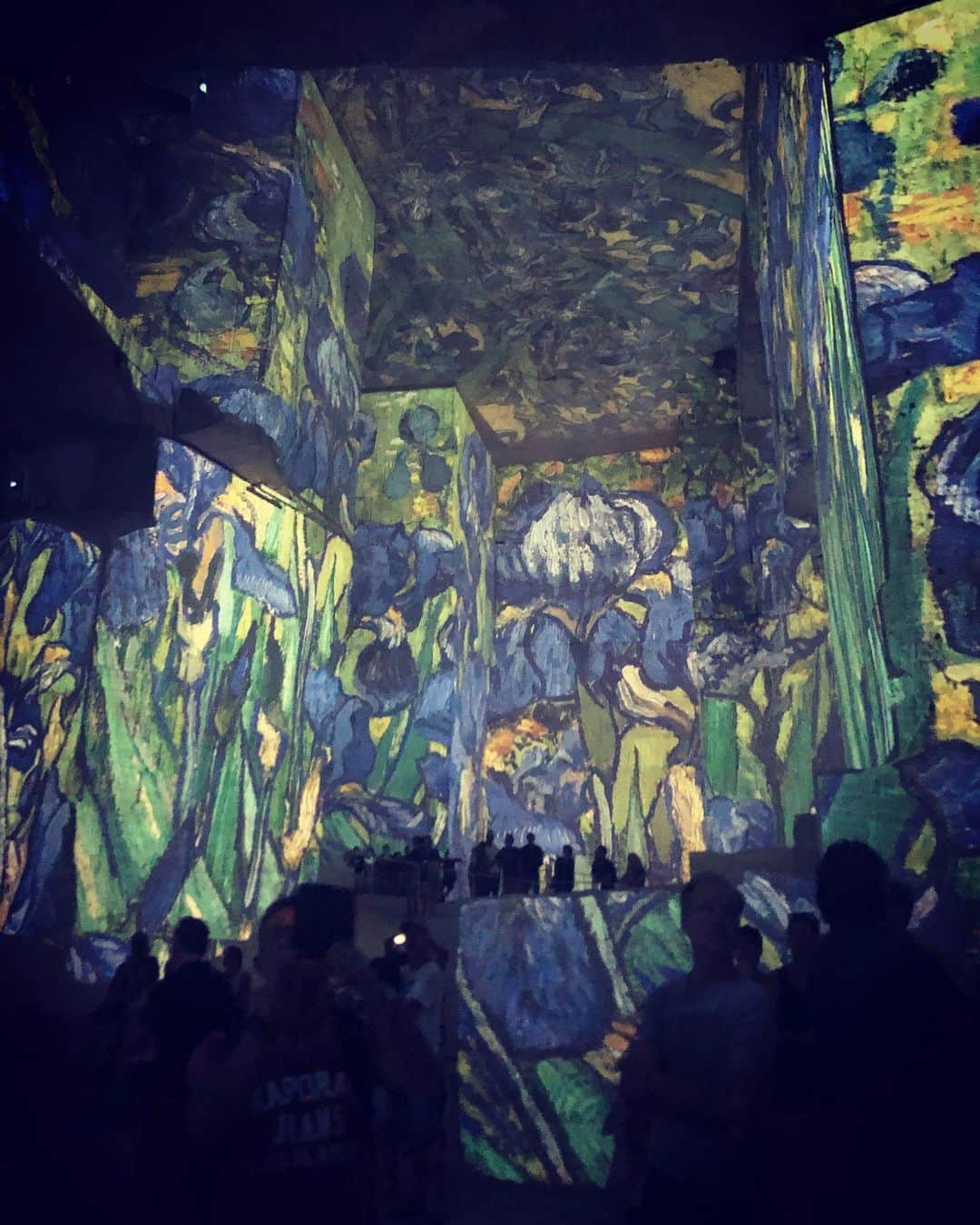 ミシェル・ブランチのインスタグラム：「If you find yourself in the Alpilles, you have to go see @carrieresdelumieres It’s one of the more beautiful/moving experiences I’ve had. Absolutely breathtaking. #VanGoghNuitEtoille」
