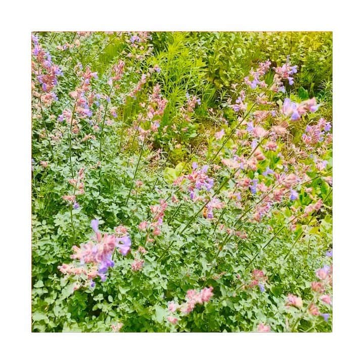 のインスタグラム：「お話しよっ！︎☺︎❤︎」
