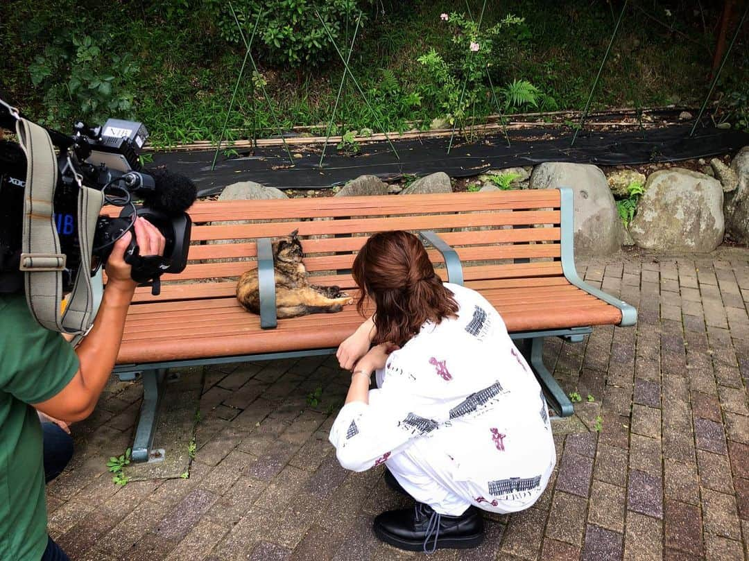 和田颯さんのインスタグラム写真 - (和田颯Instagram)「長崎楽しかった〜！ 雨の中来てくれたみんなありがとう😭 体調崩さないように気をつけてね、、 9月にまた戻ってくるぞー！！ さらば🕺🕺🕺」7月18日 20時34分 - da_ice_hayate_wada