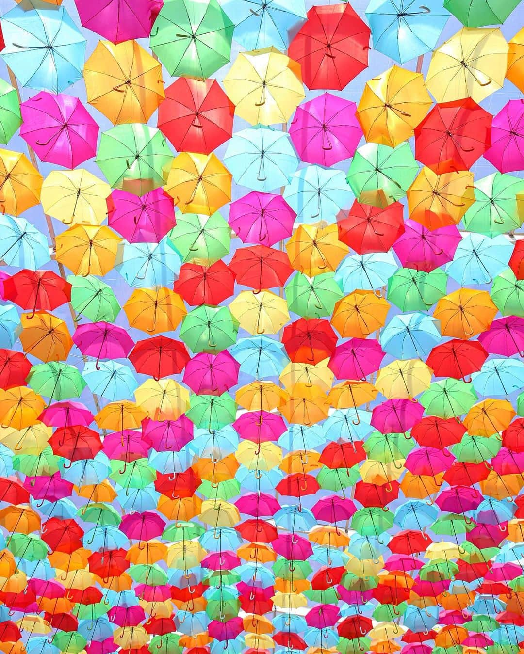 田島知華さんのインスタグラム写真 - (田島知華Instagram)「【Portugal🇵🇹Agueda】Umbrella festival is a lovely idea for enjoying rain! 今年もこの時期がやってきました！ 毎年7月〜9月はポルトガルの小さな町 アゲダがカラフルな傘でいっぱいに。 町のストリートを彩るだけではなく、 フェス会場にはさらにたくさんの傘が飾られています！ 夏休み、ポルトガルに行く予定がある方は 是非アゲダまで足を運んでみてください☂️✨ Copyright ©︎ TAJIHARU  Canon 6D MarkⅡ EF 8-15mm F4 L Fisheye USM EF11-24mm F4L USM EF24-105mm F4L IS II USM _ #たじはるトリップ #TAJIHARU_portugal #ポルトガル #アゲダ #アンブレラスカイプロジェクト #カラフル #傘 #旅ガール #女子旅 #カメラ女子 #portugal #agueda #agita #agitagueda #umbrella #umbrellaskyproject #igerseurope #igersportugal #agitagueda2017 #beautifuldestinations #theprettycities #topportugalphoto #topeuropephoto #discoverglobe #discoverearth #discover_earthpix #wonderful_places #wonderlustportugal #visitportugal」7月18日 20時50分 - haruka_tajima