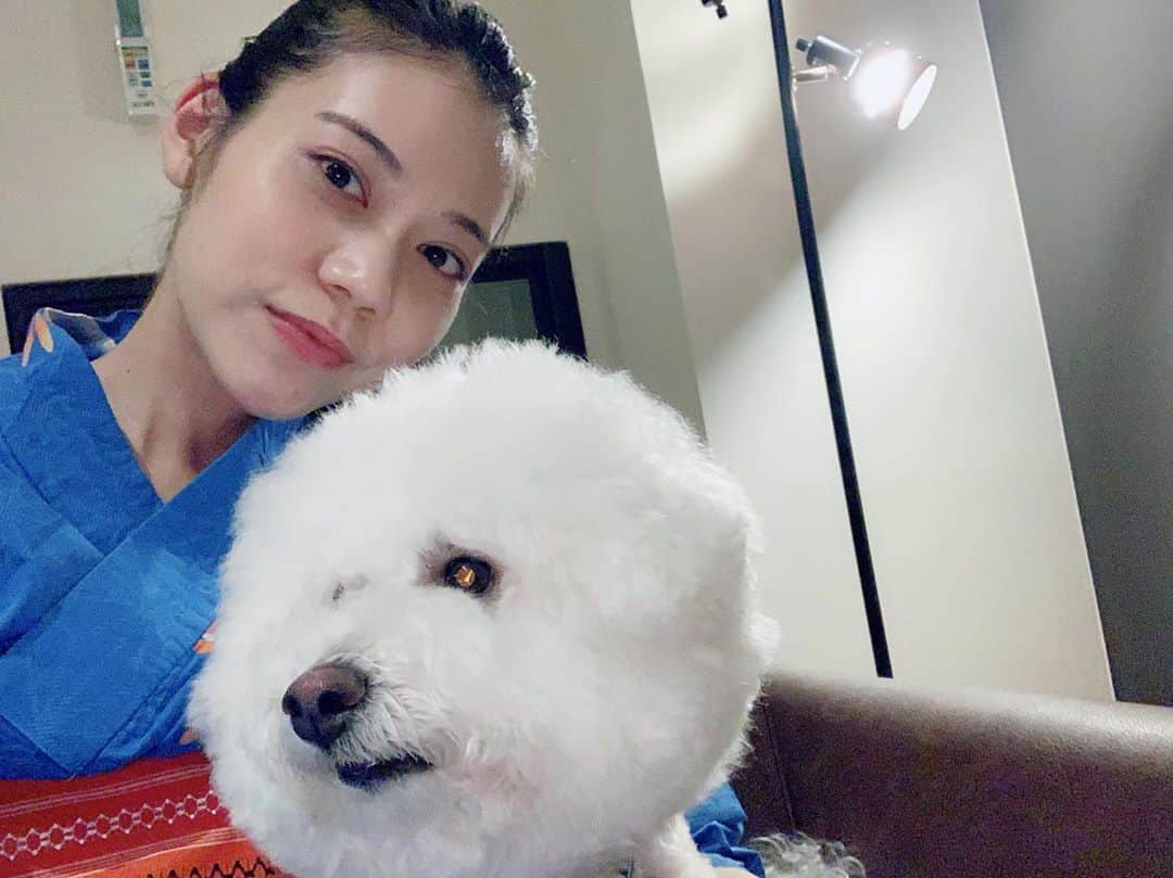 松山愛里のインスタグラム：「. 誕生日当日は家族で熊本県の白川温泉へ♨️ わんちゃんも泊まれるお宿だったので、 ノエルさんも一緒🐶 相変わらずのわたあめ犬です。ふわもこ☺️💕 最後にバイバイショット。赤ちゃん抱きになってるわ笑 意外と大きいんです〜🧸 #白川温泉#松山ノエル#ビションフリーゼ#ふわもこ部」