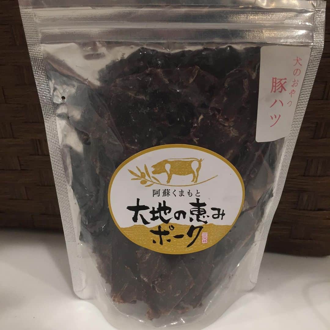 知念芽衣さんのインスタグラム写真 - (知念芽衣Instagram)「お気に入りのおやつ 🍬🍭 #豚ハツジャーキー  トリミングはお顔をシャープに #プードルカット 🐾  で少しお姉さん風です🐶  素敵なお姉さんになるべく、 わんわん学校で訓練中。  以前はガッついていた😅 おやつも、今では ゆっくり食べてくれて、 お母さんは感激です😭😭😭 #わんすたぐらむ #dogstagram #毛深い娘 #愛犬 #愛犬家 #犬のようちえん  #犬のおやつ  #トイプードル #トイプードル女の子」7月18日 21時36分 - meichinen