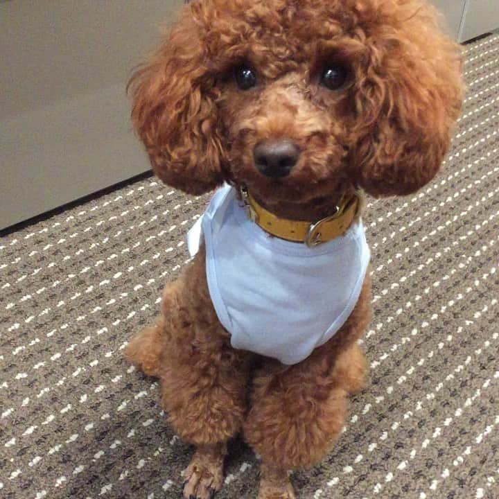 知念芽衣のインスタグラム