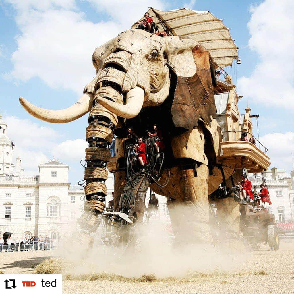 ガソリングラマーさんのインスタグラム写真 - (ガソリングラマーInstagram)「Umm amazing #elephants 🐘🐘🐘🐘 #helenmarriage #Repost @ted with • • • • • • This massive mechanical elephant marched the streets of London for four days. It was part of a parade created by visual artist Helen Marriage, whose goal was to transform a city into a playground of the imagination. It took seven years for her to make this dream a reality, but when the big day arrived, millions of people showed up to witness the amazing spectacle. “It was our first show, and it changed the nature of the appreciation of culture, not in a gallery, not in a theater, not in an opera house, but live and on the streets, transforming public space for the broadest possible audience, people who would never buy a ticket to see anything,” Helen says. “[Imagination] can transform our physical surroundings, but in doing so, we can change forever how we feel and how we feel about the people that we share the planet with.” To watch her #TEDTalk, visit go.ted.com/parade  Photo courtesy of Helen Marriage」7月18日 21時58分 - gasolineglamour