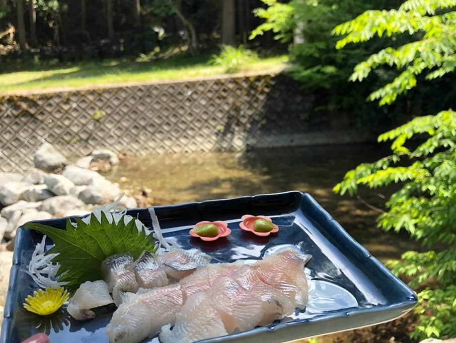 遊海 Yuumiさんのインスタグラム写真 - (遊海 YuumiInstagram)「夏休みがもう直ぐですね！ 今年の夏は何しますか？ 私はこの夏は三重県美杉に行きアマゴを釣っていただきました☀️ summer holiday is coming. Whats your summer plan ? I went to Mie Prefecture Misugi for relax a month ago. Catching river fish (amago) and had lunch in the woods ❤️🌿🇯🇵 @inaka_tourism @visitmie @misugi_resort #inaka #inakatourism #misugi #misugiresort #mie #三重県 #田舎ツーリズム #アマゴ #夏休み #夏 #自然 #山  #美杉 #visitmie #mieprefecture #nature #thankyounature #yuumitravel」7月19日 9時15分 - yuumi_kato