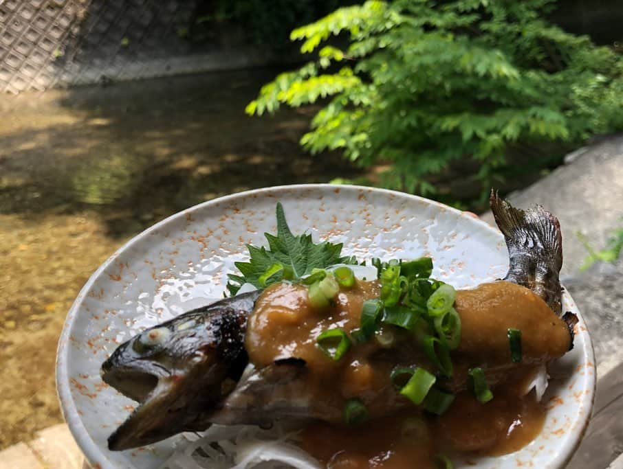 遊海 Yuumiさんのインスタグラム写真 - (遊海 YuumiInstagram)「夏休みがもう直ぐですね！ 今年の夏は何しますか？ 私はこの夏は三重県美杉に行きアマゴを釣っていただきました☀️ summer holiday is coming. Whats your summer plan ? I went to Mie Prefecture Misugi for relax a month ago. Catching river fish (amago) and had lunch in the woods ❤️🌿🇯🇵 @inaka_tourism @visitmie @misugi_resort #inaka #inakatourism #misugi #misugiresort #mie #三重県 #田舎ツーリズム #アマゴ #夏休み #夏 #自然 #山  #美杉 #visitmie #mieprefecture #nature #thankyounature #yuumitravel」7月19日 9時15分 - yuumi_kato