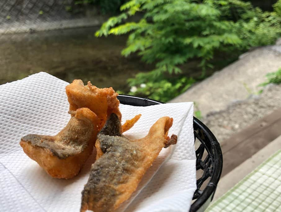 遊海 Yuumiさんのインスタグラム写真 - (遊海 YuumiInstagram)「夏休みがもう直ぐですね！ 今年の夏は何しますか？ 私はこの夏は三重県美杉に行きアマゴを釣っていただきました☀️ summer holiday is coming. Whats your summer plan ? I went to Mie Prefecture Misugi for relax a month ago. Catching river fish (amago) and had lunch in the woods ❤️🌿🇯🇵 @inaka_tourism @visitmie @misugi_resort #inaka #inakatourism #misugi #misugiresort #mie #三重県 #田舎ツーリズム #アマゴ #夏休み #夏 #自然 #山  #美杉 #visitmie #mieprefecture #nature #thankyounature #yuumitravel」7月19日 9時15分 - yuumi_kato