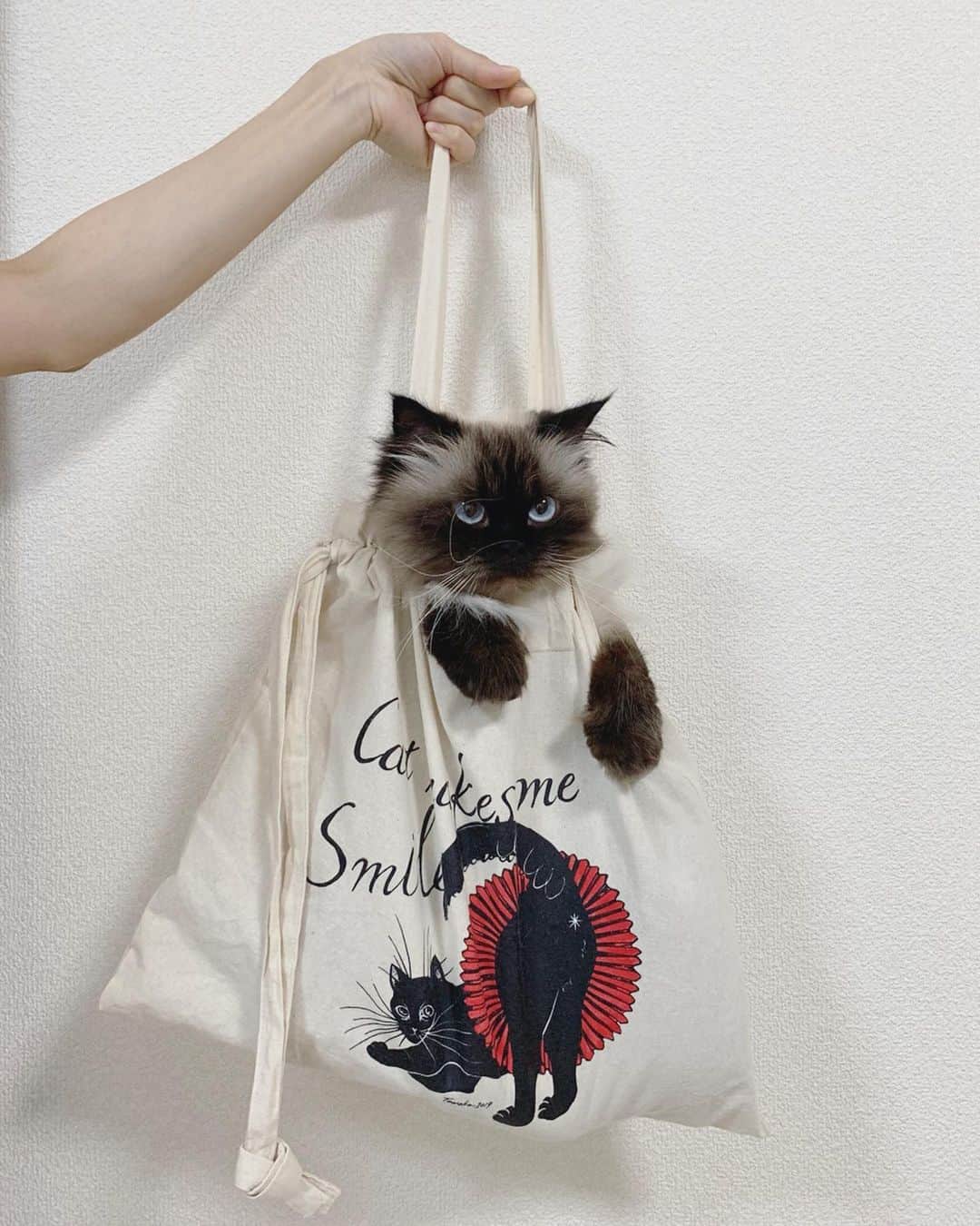 plumeのインスタグラム