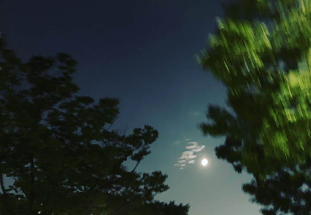 東麻美さんのインスタグラム写真 - (東麻美Instagram)「満月の夜🌕 山下達郎さんのライブへ🎤 圧巻のパフォーマンスに心震えました。 本当に本当に素晴らしい歌声と表現力でした。 人生一回は行った方がいいと何方かに言われていたけど、また絶対行きたい。 終演後の数日ぶりの綺麗な夜空に満月✨🌝 ・ たつろーくんぬいぐるみ・・・買えばよかったなぁ と 感動の余韻に今朝も浸っています🍩⛱ ・ #山下達郎#20190717 #live#beautifulmoon#love」7月19日 9時02分 - asamihigashi