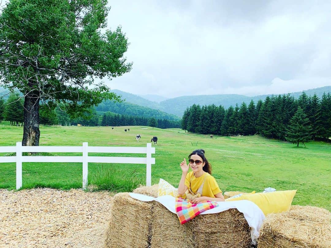 大桃美代子さんのインスタグラム写真 - (大桃美代子Instagram)「羊を数えながら眠るハンモック。  敷地内にあり、誰でも楽しめます。  牛も飼育されていて、バターやソフトクリームとして、トマム内でつかわれる。。 SDGsサスティナブル、循環を考えてる企業。  7／19日のブログに書いています。  プロフィールから飛んでくださいね。  This is Hoshino Resort Tomamu.  A wonderful resort in Hokkaido.  I can sleep while counting sheep😉  #トマム#星野リゾートトマム #アグリツーリズム#あるものを活かす#hoshinoresorttomamu #リゾートライフ #hoshinoresort#酪農#農業#アクティビティー#農業#観光農業#見せ方#乳牛#luxuryhotel #resorthotel #agriculture #hokkaido #大桃美代子#星野リゾート#旅女子 #女史旅 #旅好きな人と繋がりたい #旅好きと繋がりたい #japan#hotellife#instatravel #여행스타그램#夏休み#スタフラタイペイ#スターフライヤー」7月19日 0時13分 - miyoko_omomo