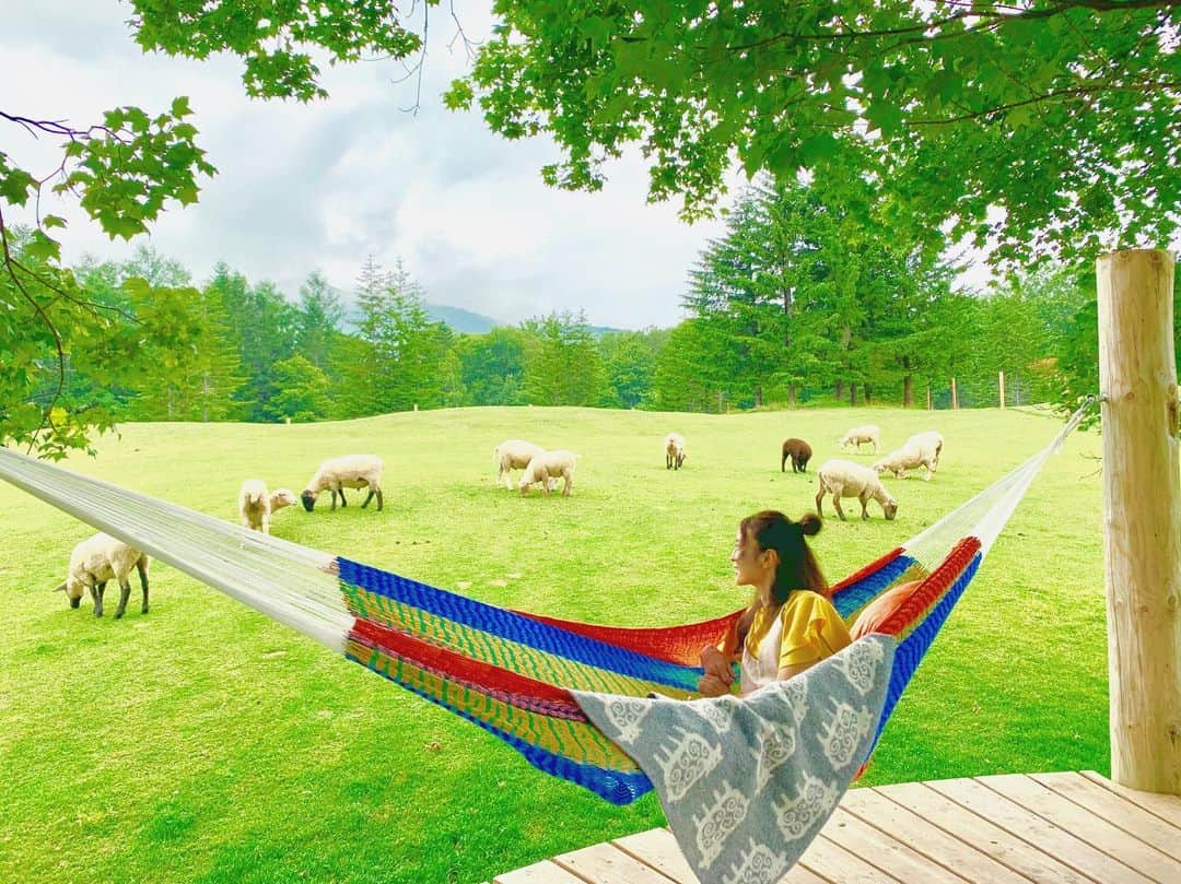 大桃美代子さんのインスタグラム写真 - (大桃美代子Instagram)「羊を数えながら眠るハンモック。  敷地内にあり、誰でも楽しめます。  牛も飼育されていて、バターやソフトクリームとして、トマム内でつかわれる。。 SDGsサスティナブル、循環を考えてる企業。  7／19日のブログに書いています。  プロフィールから飛んでくださいね。  This is Hoshino Resort Tomamu.  A wonderful resort in Hokkaido.  I can sleep while counting sheep😉  #トマム#星野リゾートトマム #アグリツーリズム#あるものを活かす#hoshinoresorttomamu #リゾートライフ #hoshinoresort#酪農#農業#アクティビティー#農業#観光農業#見せ方#乳牛#luxuryhotel #resorthotel #agriculture #hokkaido #大桃美代子#星野リゾート#旅女子 #女史旅 #旅好きな人と繋がりたい #旅好きと繋がりたい #japan#hotellife#instatravel #여행스타그램#夏休み#スタフラタイペイ#スターフライヤー」7月19日 0時13分 - miyoko_omomo