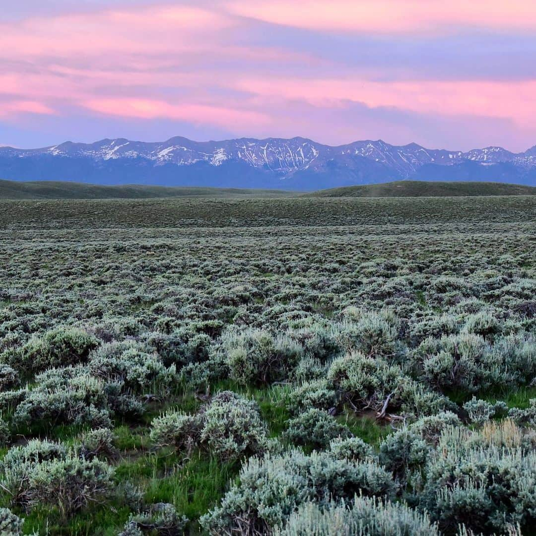 アメリカ内務省さんのインスタグラム写真 - (アメリカ内務省Instagram)「A kaleidoscopic sunset splashes across the sky and over the sagebrush sea at Arapaho National Wildlife Refuge in #Colorado. At 8,100 to 8,700 feet above sea level, it’s the highest refuge in the lower 48 states. The refuge supports diverse wildlife habitats, including sagebrush steppe uplands, grassland meadows, willow riparian areas, and wetlands. Visitors can experience hiking, wildlife observation and photography, an auto-tour, and hunting and fishing opportunities. Over 200 bird species have been documented on the refuge, in addition to elk, moose, pronghorn, and porcupines. Photo by Tom Koerner, U.S. Fish and Wildlife Service (@USFWS). #FindYourWay #SagebrushCountry #usinterior」7月19日 0時27分 - usinterior