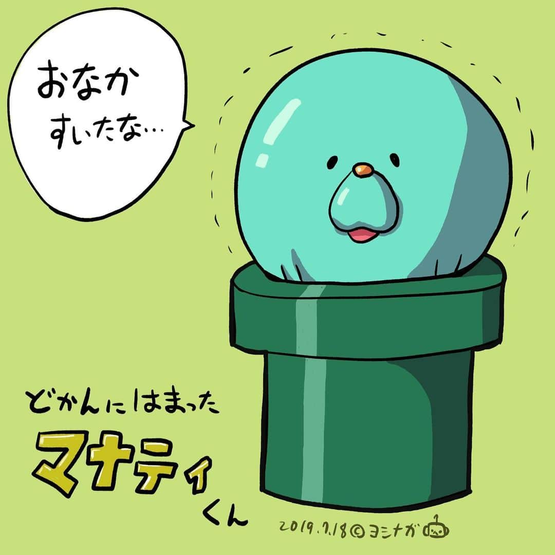  吉永龍樹のインスタグラム：「かよわいマナティさん  #マナティ #マナティー #土管 #はまった #いきもの #僕秩 #いらすとぐらむ #うみのいきもの #哺乳類」