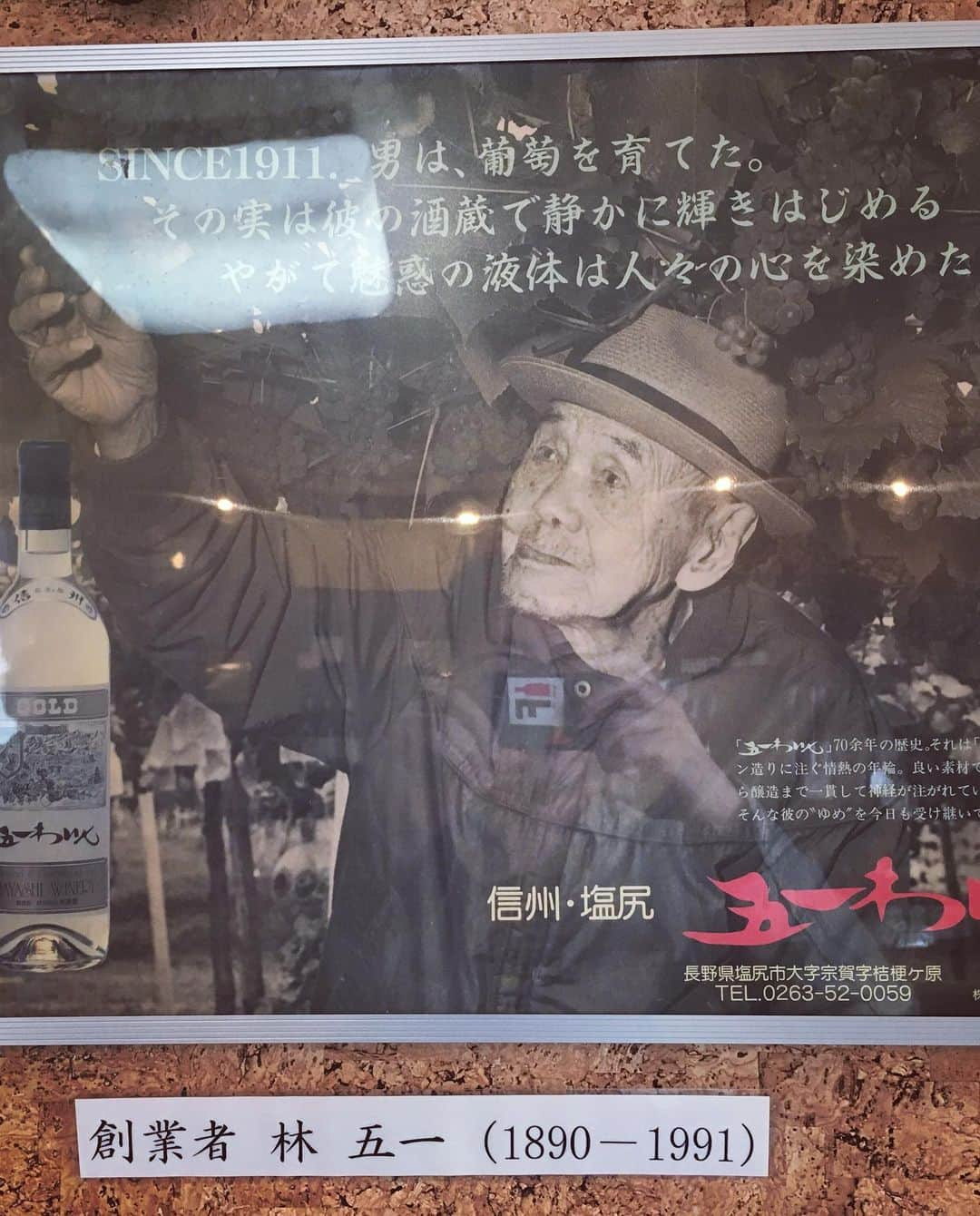 ひぐち君さんのインスタグラム写真 - (ひぐち君Instagram)「そして、お向かいの五一わいんでも試飲させていただきました🍷売店前には、樹齢80年の栗の樹。 #五一わいん #林農園 #長野県 #塩尻市 #日本ワイン 🇯🇵 #japanesewine #vinjaponais  #wine #vin #vino #winetime #winelover #instawine #wineexpert」7月19日 1時54分 - higehiguchi