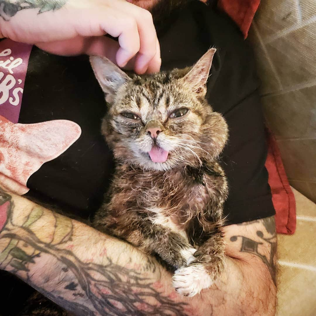 Lil BUBさんのインスタグラム写真 - (Lil BUBInstagram)「some quality time w BUB」7月19日 2時19分 - iamlilbub