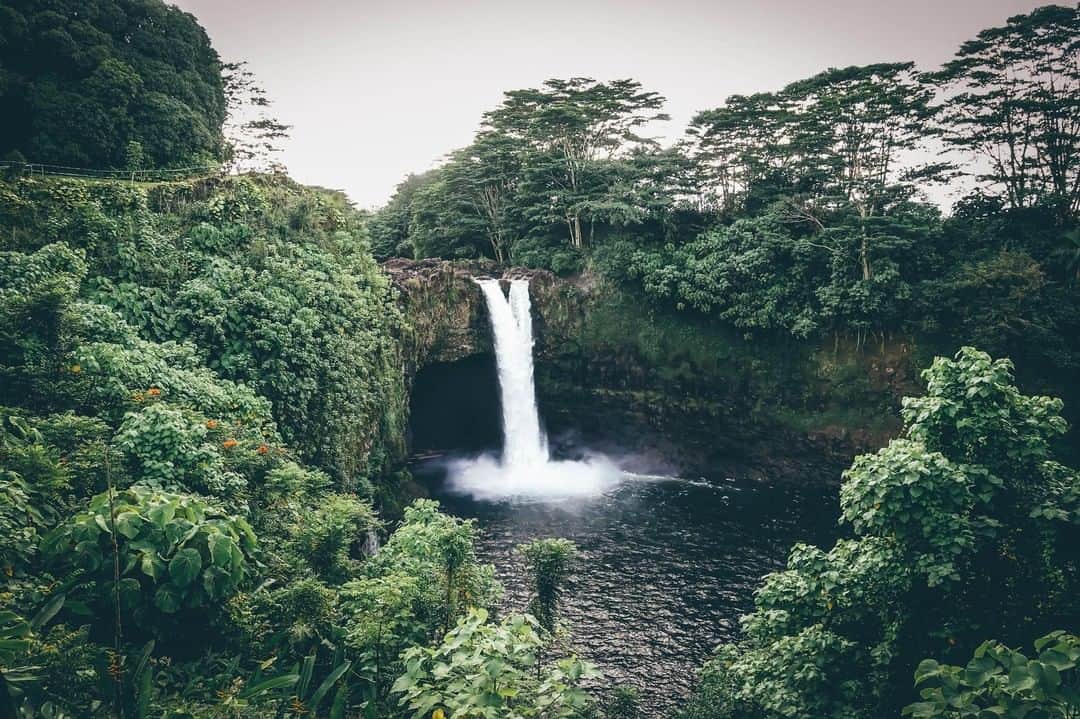 ハワイアン航空さんのインスタグラム写真 - (ハワイアン航空Instagram)「(Water)falling for this view 😍 Have you ever been to Rainbow Falls on Hawai‘i Island? . . . #ExploreIslandOfHawaii #NakedHawaii #HawaiiUnchained #Waterfall #LuckyweliveHI #HawaiiIsland #RainbowFalls」7月19日 3時00分 - hawaiianairlines